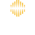 Shrooq